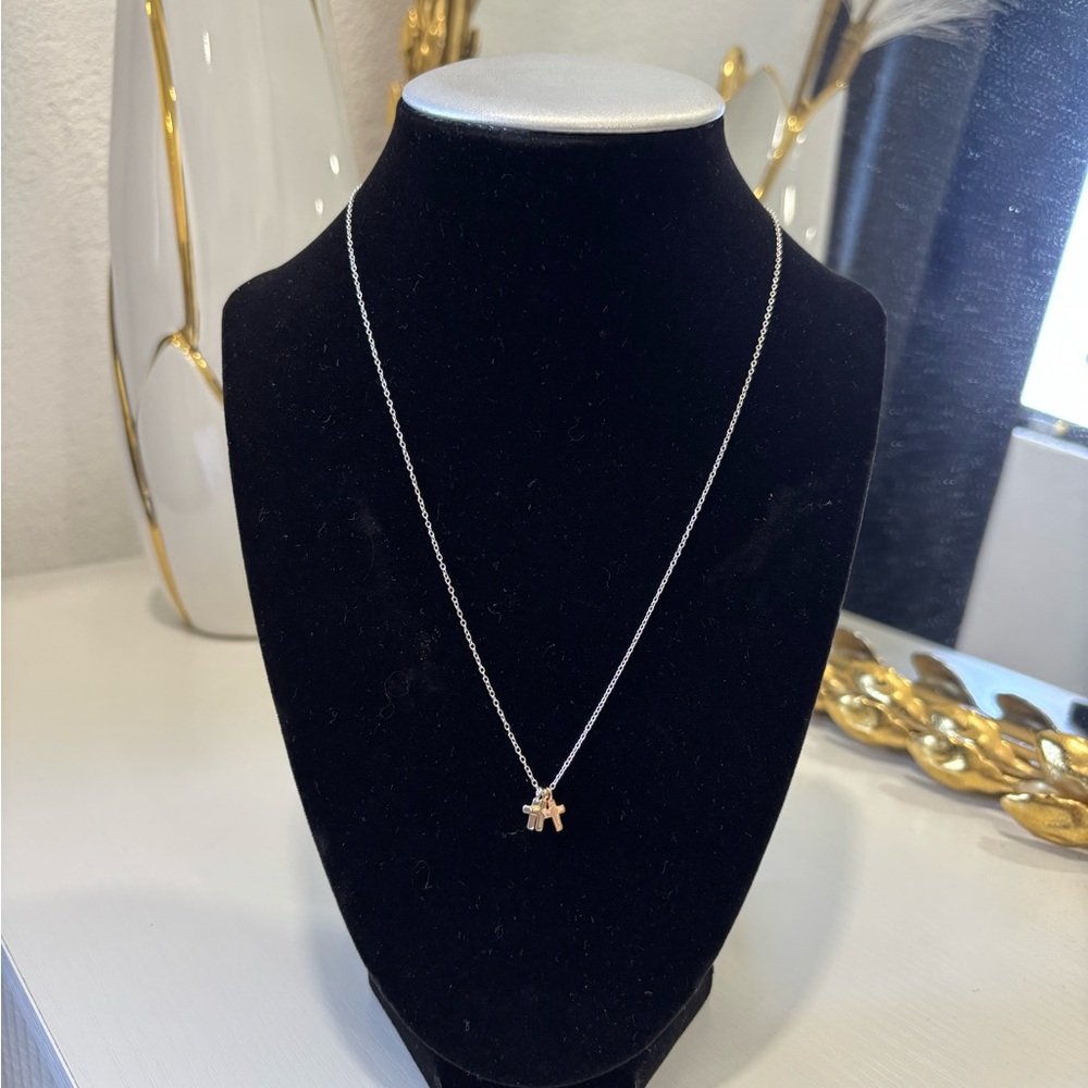 Elegant Silver Necklace with Gold Charm